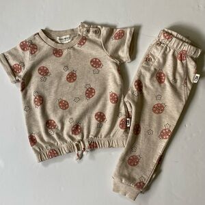 Rabbit + Bear Two-Piece Set Size 18 Months Ladybugs Shirt Pants Organic Cotton
